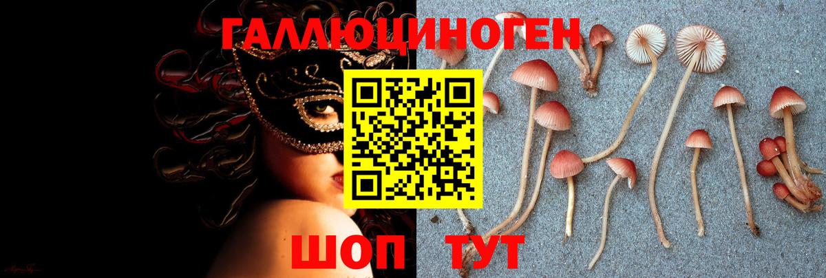 Псилоцибиновые грибы Magic Shrooms  Вход с VPN  Бутурлиновка 